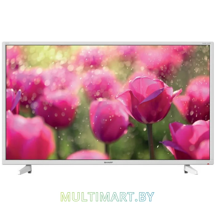 Телевизор Sharp LC40FI3222EW